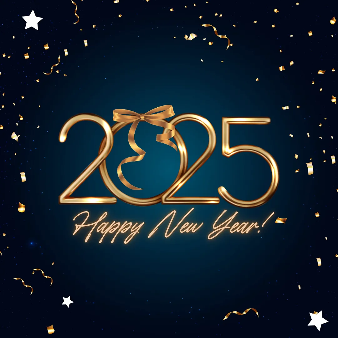 Bonne année 2025 !